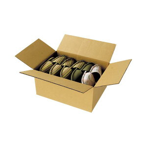 yz(܂Ƃ) TANOSEE zp_{[ 100-A3 1pbN(20) [×3Zbg]@ lC   i  a v[g Mtg z V