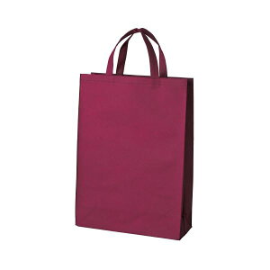 �y�������߁E�l�C�z(�܂Ƃ߁j�X�}�[�g�o�����[ �s�D�z��񂰃o�b�O��10�����C�� B451J-WN�y×5�Z�b�g�z|���� ���� �i��