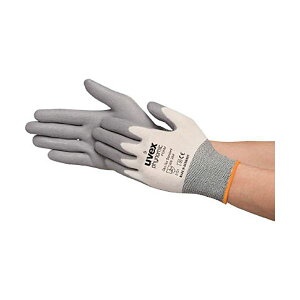 y߁ElCz(܂Ƃ) ExbNX tBm~bN tH[ M 6005068 1o y×5Zbgz|  i