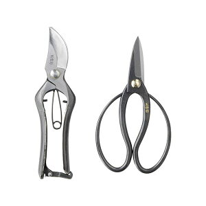 yz{2_Zbg K20809629@ lC   i  a v[g Mtg z V zCgf[