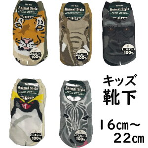 C \bNX LbY  Aj} q 16cm`22cm j̎qp