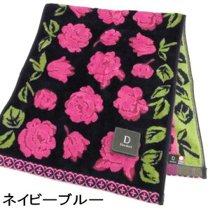 y|Cg5{ 111:59܂Łz tFCX^I KN KN hfB[ G`[h WK[hD  100 { i @ KNG Pn o [Y ԕ 킢  Mtg 