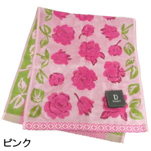 y|Cg5{ 111:59܂Łz tFCX^I KN KN hfB[ G`[h WK[hD  100 { i @ KNG Pn o [Y ԕ 킢  Mtg 