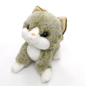 ぬいぐるみ 猫 いっしょがいいね 渡辺あきお ビーンズ リニューアル コンパクト 小さめサイズ ハチワレ くろねこ みけねこ ミックス さばとら シロ 猫 猫好き 猫柄 猫雑貨 猫グッズ かわいい おしゃれ プレゼント 【 誕生日 】
