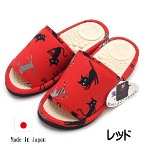 Xbp L  fB[X NT_ ItBX T_ T_{[ Aj} { ˂ lR LD L LG LObY  킢  Mtg v[g y a