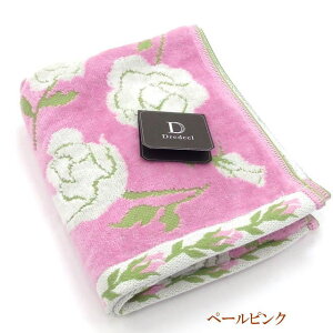 y|Cg5{ 111:59܂Łz tFCX^I KN hfB[ tHe WK[hD  100 { i @ KNG KN KN G Pn o [Y ԕ 킢 