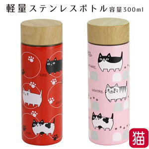  XeX{g 300ml y ۗEۉ lR L3Z ƂȂ3Z  U  }O{g gѐ ˂ lR L LG LObY  fB[X 킢 LD Mtg 