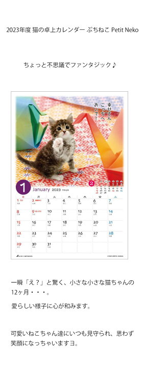 Z471 猫 ねこ 卓上カレンダー 新品 ネコ 22年 ほぼ正方形型