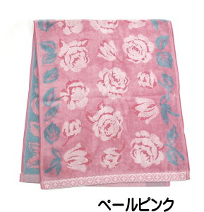 tFCX^I KN hfB[ v[h  100 { Gg[ Cn i @ KNG KN KN G Pn o [Y ԕ 킢  Mtg v[g 