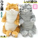 ぬいぐるみ 猫 ネコ 猫柄 猫雑貨 猫グッズ かわいい おしゃれ ねこ プレゼント リアル ひざねこ すやすや ギフト おもちゃ ふわふわ 猫好き 【 誕生日 】