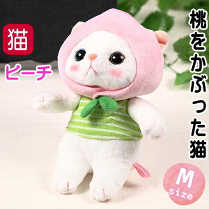 ʂ s[` RX`[ L MTCY t[cL choochoo{ `[`[{ L LD ˂ lR L LG LObY 킢  Mtg v[g fUC y a