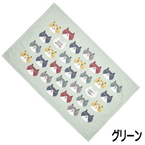 oX^I tFCX^I }`^I Jo[ ^IPbg Ђ| N[Pbg K[[ pC  50×80cm 100 Rbg 炩 lR lR܂邯 NXO 킢 LD 