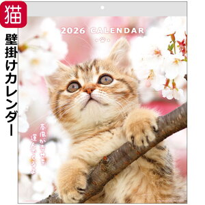 J_[ 2026 Ǌ| L CAT EH[J_[ 2026N ߘa8N 13Â 傫  { Zj LJ_[ J_[ ߂ jn܂ L LG LObY 킢 