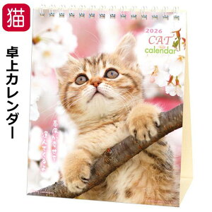 J_[ 2026  L CAT gLbg 2026N ߘa8N 7Â TCY  { Zj LJ_[ J_[ ߂ jn܂ L LG LObY 킢  M