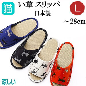 y݌Ɉ|Xg1_zXbp  ėp  傫 LTCY O Ȃ ʋC f q  E  [V[Y { fB[X Y jZbNX JWA 킢