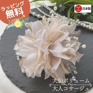 RT[W  tH[}  Ǝ w p[ e   {Q l Ӊ I 񎟉 \ t  ܎ ܎O j T RT[W f 