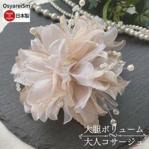 RT[W  tH[}  Ǝ w p[ e   {Q l Ӊ I 񎟉 \ t  ܎ ܎O j T RT[W f 