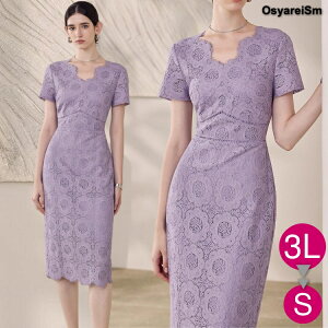 tH[}hX 50 e hX  ~ZX e G tH[}s[X 60 ~ZX [X p[v 40 p[eB[hX 傫TCY t  f c VjA 獇킹 tH[