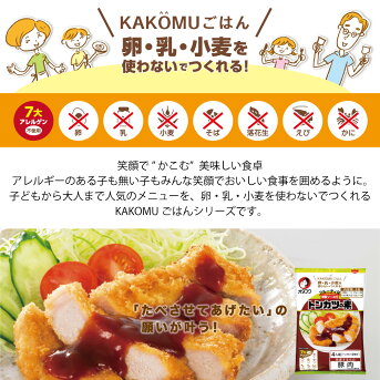 KAKOMUごはんトンカツの素4人前7大アレルゲン不使用