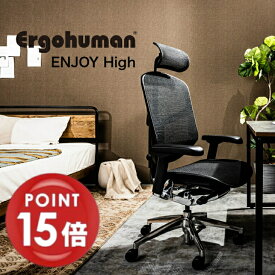 【正規品】【ポイント15倍】エルゴヒューマン　エンジョイ　ハイタイプ　EJ2-HAM