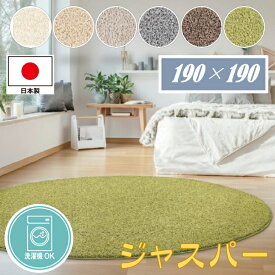 ジャスパー　プレーベル　190×190　日本製　洗える