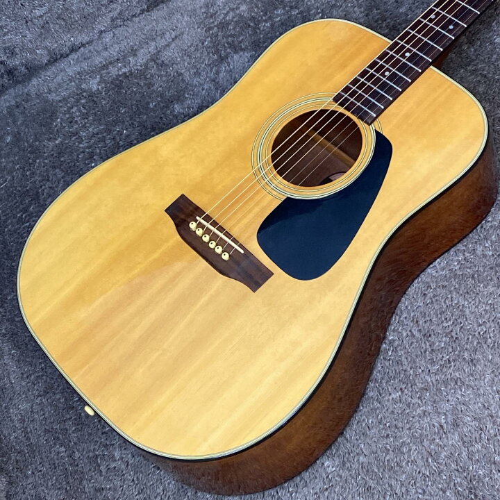 楽天市場】【中古】 Morris | モーリス 楽器 MD-502【尾張小牧店 