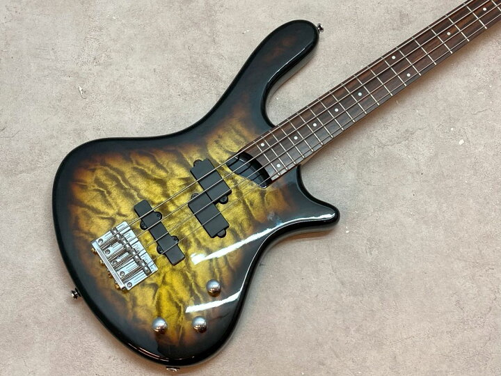 楽天市場】【日付指定不可・代金引換不可】【中古】Washburn T14【楽器  