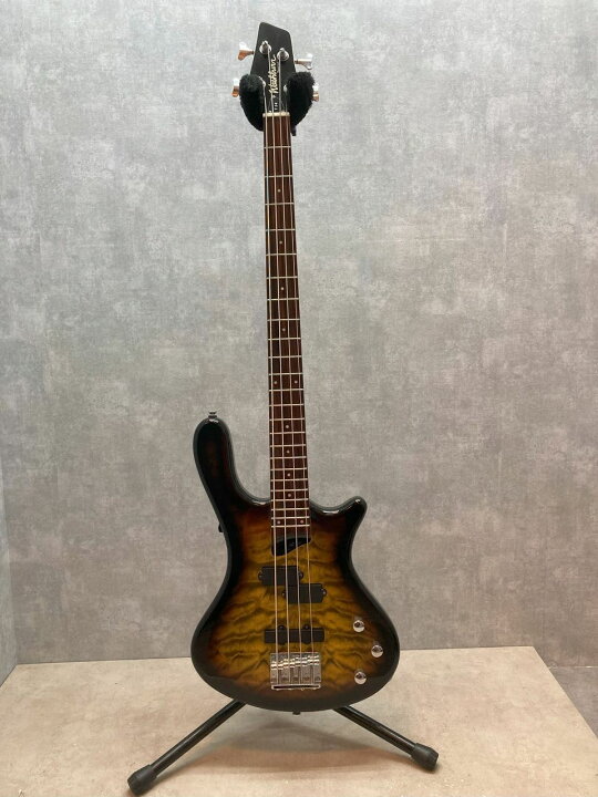 楽天市場】【日付指定不可・代金引換不可】【中古】Washburn T14【楽器 