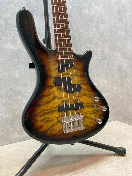 楽天市場】【日付指定不可・代金引換不可】【中古】Washburn T14【楽器 