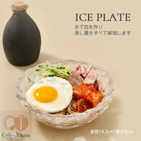 2個セット 製氷皿 氷の器 アイスディッシュメーカー ゆきポン 氷のうつわ お造り・そうめん・デザート用 アイストレー 製氷型 器 氷 こおり 皿 こおりの器 コオリの器 氷鉢 氷型 冷し型