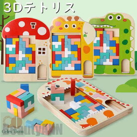 新生活 3D テトリス 積み木 知育玩具 木製 パズルセット 組み立て おもちゃ 早期開発 教育おもちゃ 誕生日 贈り物 クリスマス 創造力 考える力 五感 室内遊び 子供向け ストレス解消 お祝い 男の子 女の子 立体パズル 誕生日プレゼント