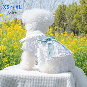  s[X L t  ʋC _炩 ybgEGA  u₩   ˂ ^ ^ p XJ[g EȒP m