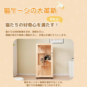 yLX^[tzyVRؐzL P[W LbgP[W P[W ؐ L 3i  Ch  ybgP[W ^ B LbgnEX lR nEX LX^[t i  