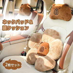 Jso ԗpNbV 2_Zbg lbNpbg NbV ӂӂ Ԗ      obN w J[pi NbV ʂ pbh o[s[ {A V[v