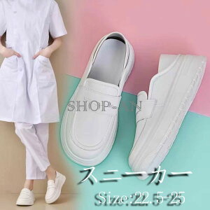 ŌtV[Y i[XV[Y fB[XV[Y  ~[C ƌC a@ SC ~ y ϊ R hL ɂ Ռz pvX u[c V[gu[c fB[X JW