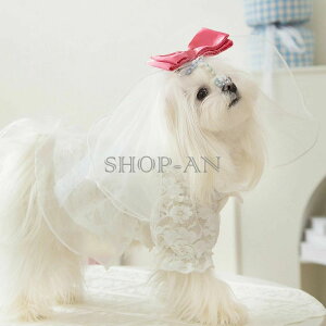 ybgm  ybg EFA EFfBOhX x[t hbOEFA L s[X hX   ^ ^ K[[ i` ĕ [X XJ[g іh~