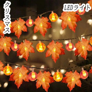  LEDCg NX}X C~l[V 3M/6MJ[eCg C~l[VCg XgOCg tFA[Cg Cg NX}X C~l[V J[e