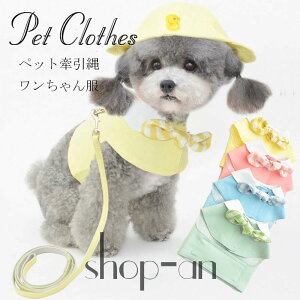   ^ p n[lX   [hZbg U o ȒP [h  킢 ̎q W[ Ck hbO   L pi ybgp ObY hbO ^