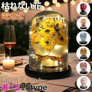 �͂�Ȃ��� �o�� �v���[���g �h�V�̓� ���� �o�� �K�N ������ �Ђ܂�� �Ό��̉� �t�����[�M�t�g �\�[�v�t�����[ �� �ԑ� ��̓� LED���C�g�t�� �d�r�� �i���̈� ���ӂ̋C�� ���j�� �l�C �a��