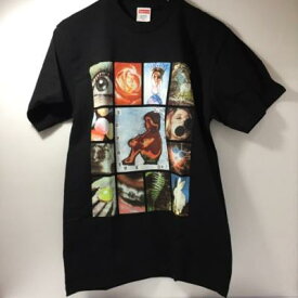 SUPREME 19SS ORIIGINAL SIN TEE Tシャツ サイズ：S【中古】古着 メンズファッション 53FSSS04778