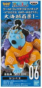 yJzs[X [hRN^utBMA WT100LO chY`낵 CSi1 WT100-06 WxG tBMAy{Xz