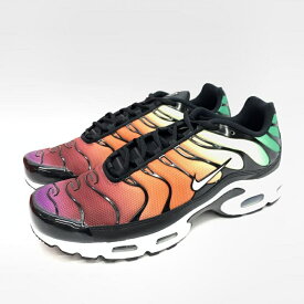 【中古】NIKE Air Max Plus Womens Rainbow DZ3670-001 29.0cm ナイキ[92]