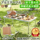 ＼10月15日店舗5倍+5の日3倍!!／ 折りたたみテーブル 120cm アウトドア テーブル 折りたたみ 木目調 テーブル レジャ…