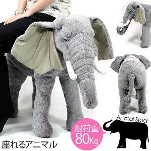 _113Xܓő5000~OFFN[|!!^ ]E   Aj}  ʂ Aj}Xc[ ʂ ybg v[g Mtg LbY q  CX   Xc[