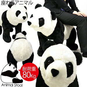 _113Xܓő5000~OFFN[|!!^ p_ Aj}  ʂ ɂ܂Xc[  ʂ v[g Mtg LbY q  CX   Xc[ a