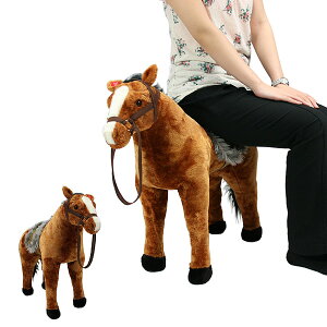 _113Xܓő5000~OFFN[|!!^ E}  n Aj}  ʂ Aj}Xc[ ʂ ybg v[g Mtg LbY q  CX   Xc[