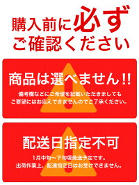 福袋2019年今回の特賞はダイソンやルンバ、ニンテンドースイッチ、プラズマクラスター等お宝ワールド福袋大人気アイテム3点詰め込み福袋DysonNintendoSwitchiPad【1月下旬頃発送予定】/###お宝ワールド福袋###