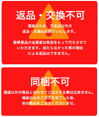 福袋2019年今回の特賞はダイソンやルンバ、ニンテンドースイッチ、プラズマクラスター等お宝ワールド福袋大人気アイテム3点詰め込み福袋DysonNintendoSwitchiPad【1月下旬頃発送予定】/###お宝ワールド福袋###