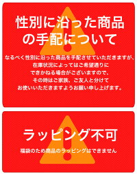 福袋2019年今回の特賞はダイソンやルンバ、ニンテンドースイッチ、プラズマクラスター等お宝ワールド福袋大人気アイテム3点詰め込み福袋DysonNintendoSwitchiPad【1月下旬頃発送予定】/###お宝ワールド福袋###