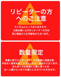 福袋2019年今回の特賞はダイソンやルンバ、ニンテンドースイッチ、プラズマクラスター等お宝ワールド福袋大人気アイテム3点詰め込み福袋DysonNintendoSwitchiPad【1月下旬頃発送予定】/###お宝ワールド福袋###